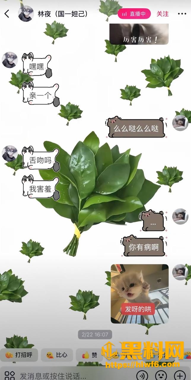 聊天记录2