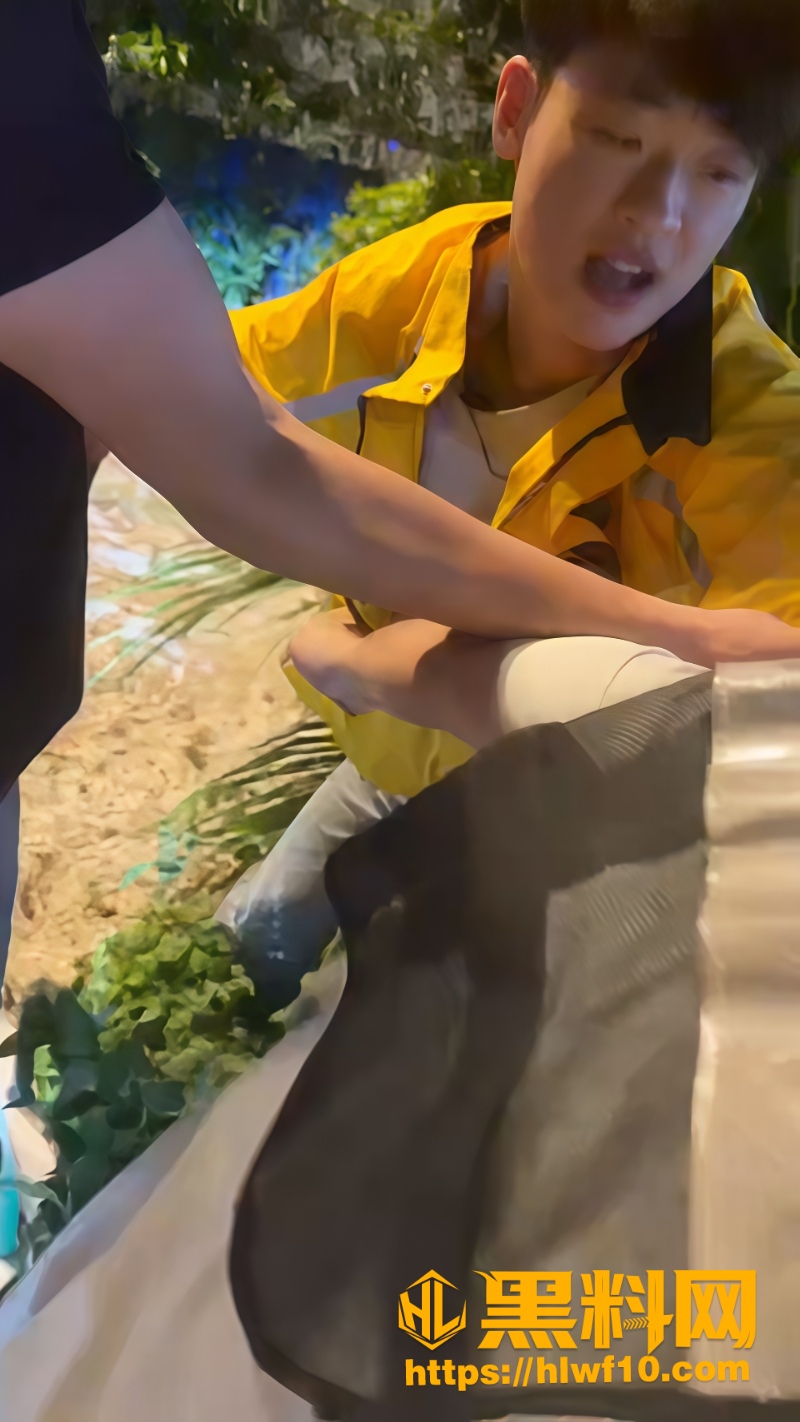 打架视频5