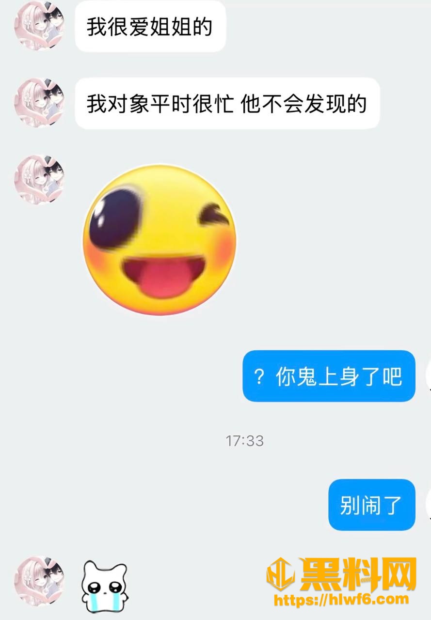 聊天记录3