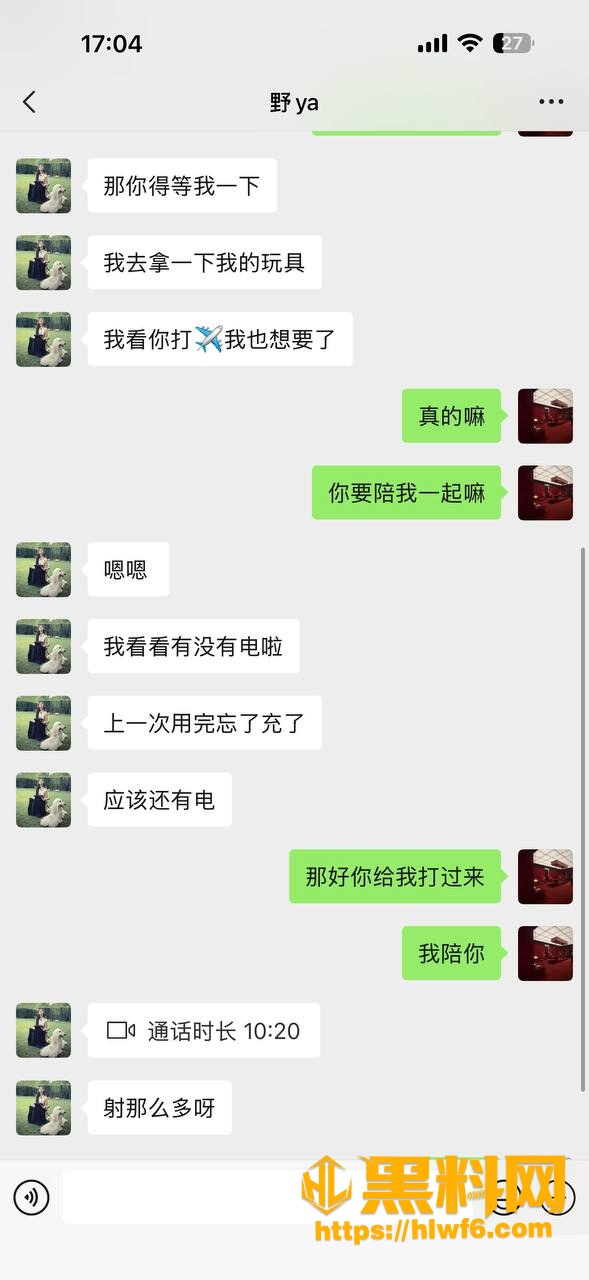 聊天记录3