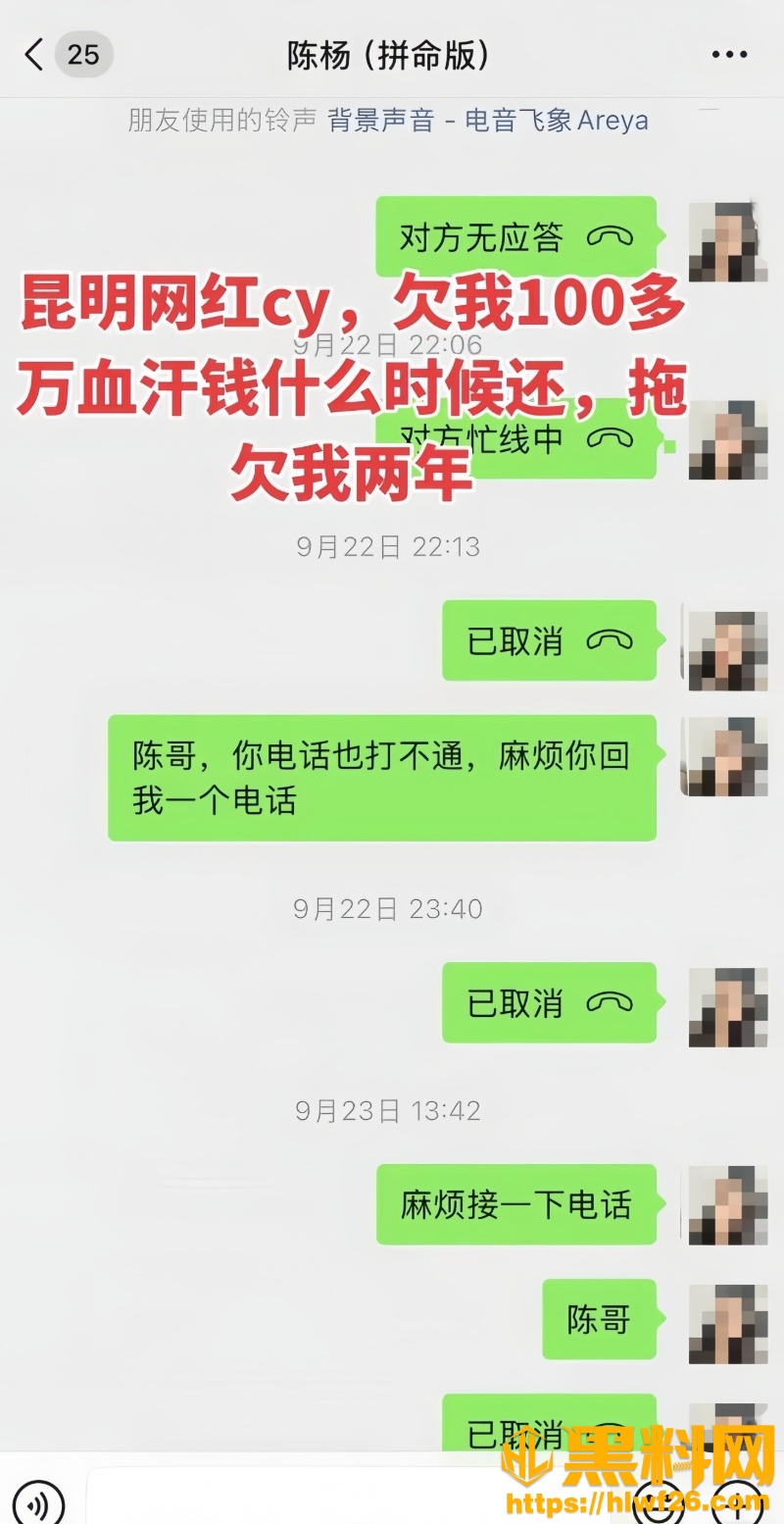 男网红陈杨非法集资黑料10W800px