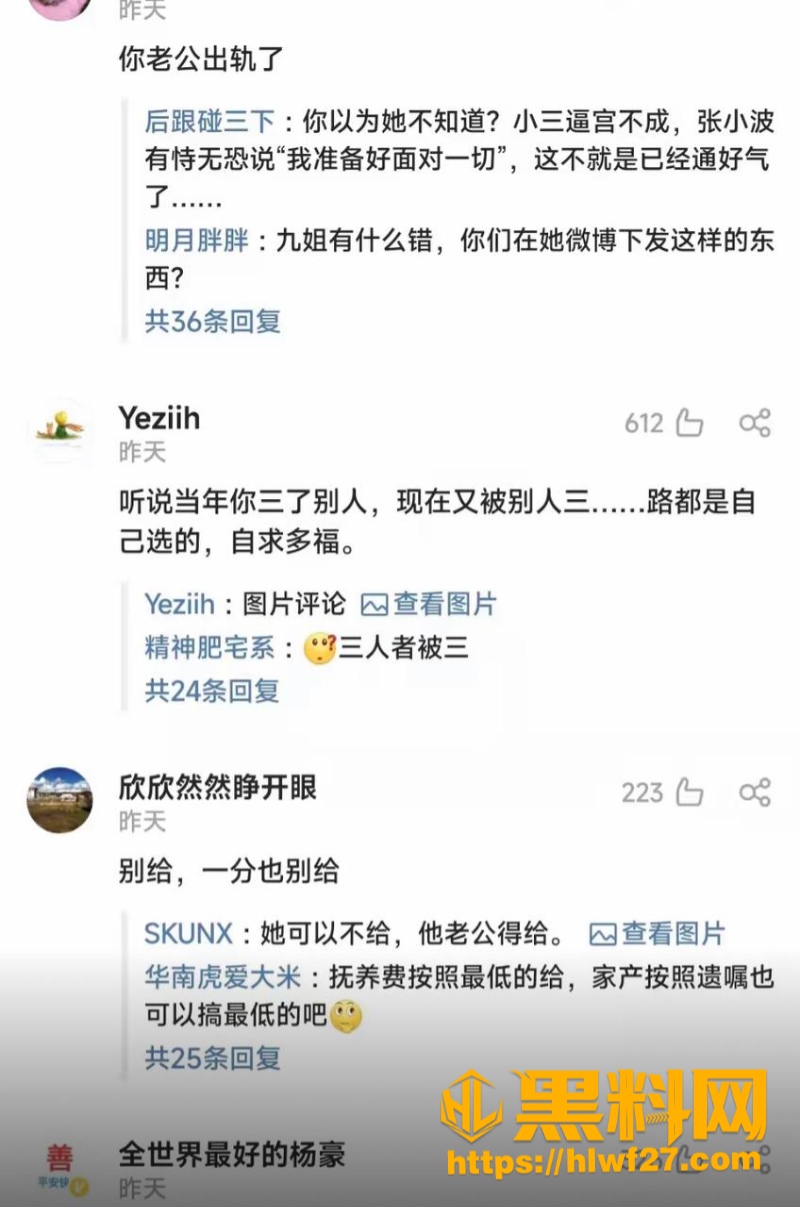 张小波婚外情翻车 3