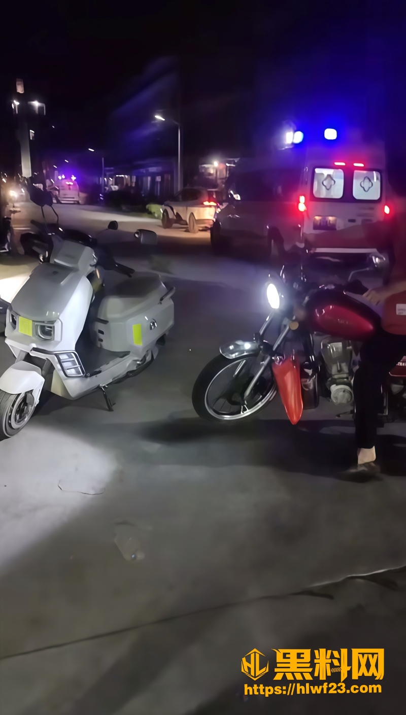 揭阳龙岭圣杰枪击案 3