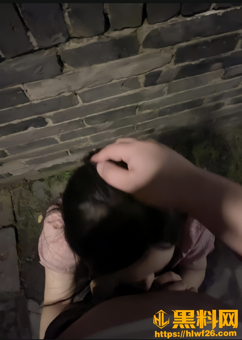 丰乳肥臀的少妇邻居25
