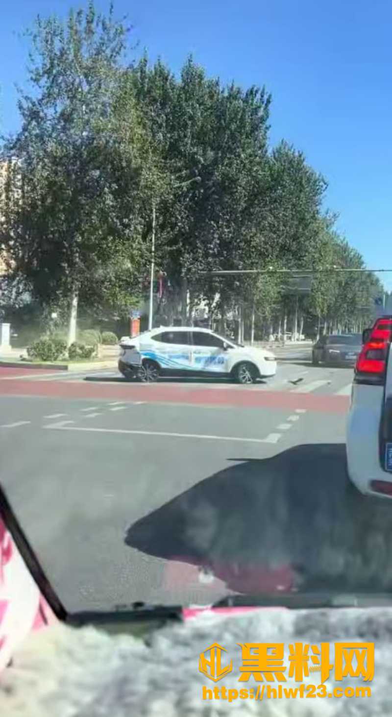 河北现实版碰碰车视频2