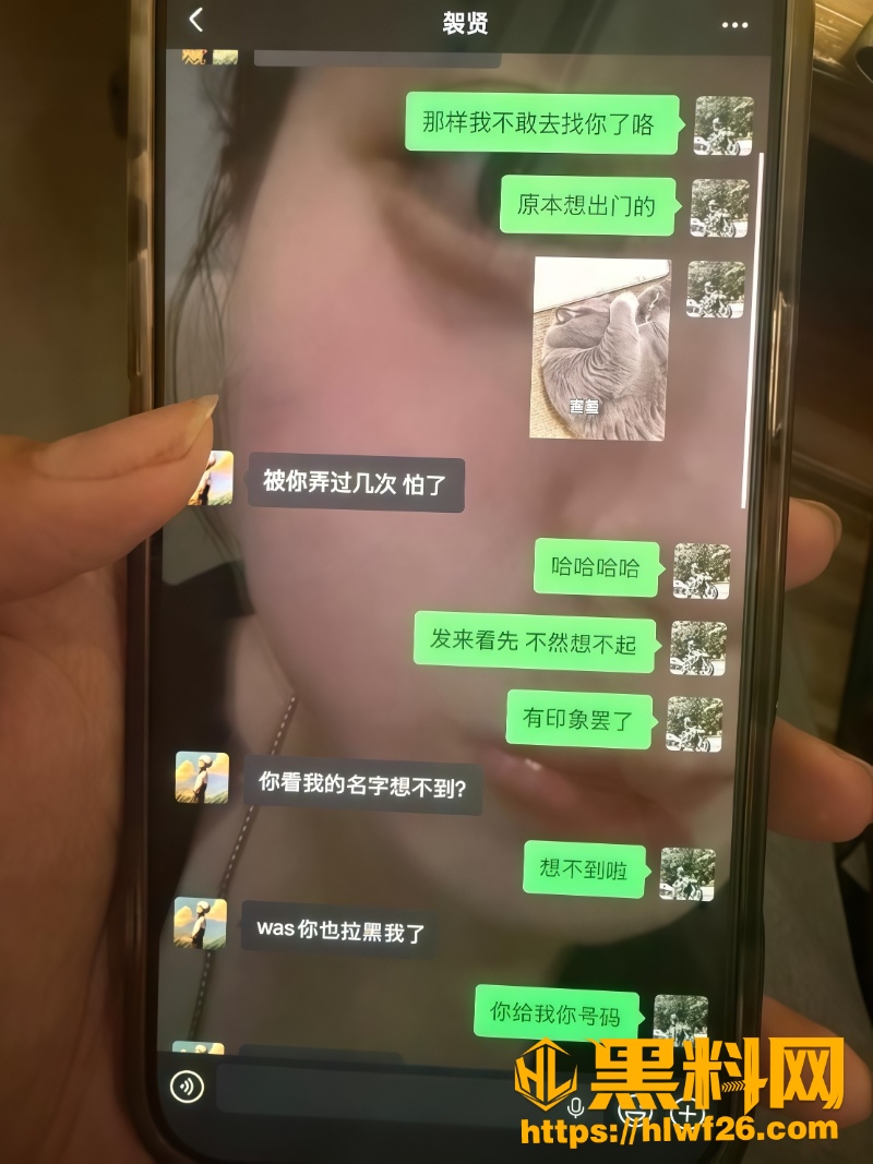聊天记录