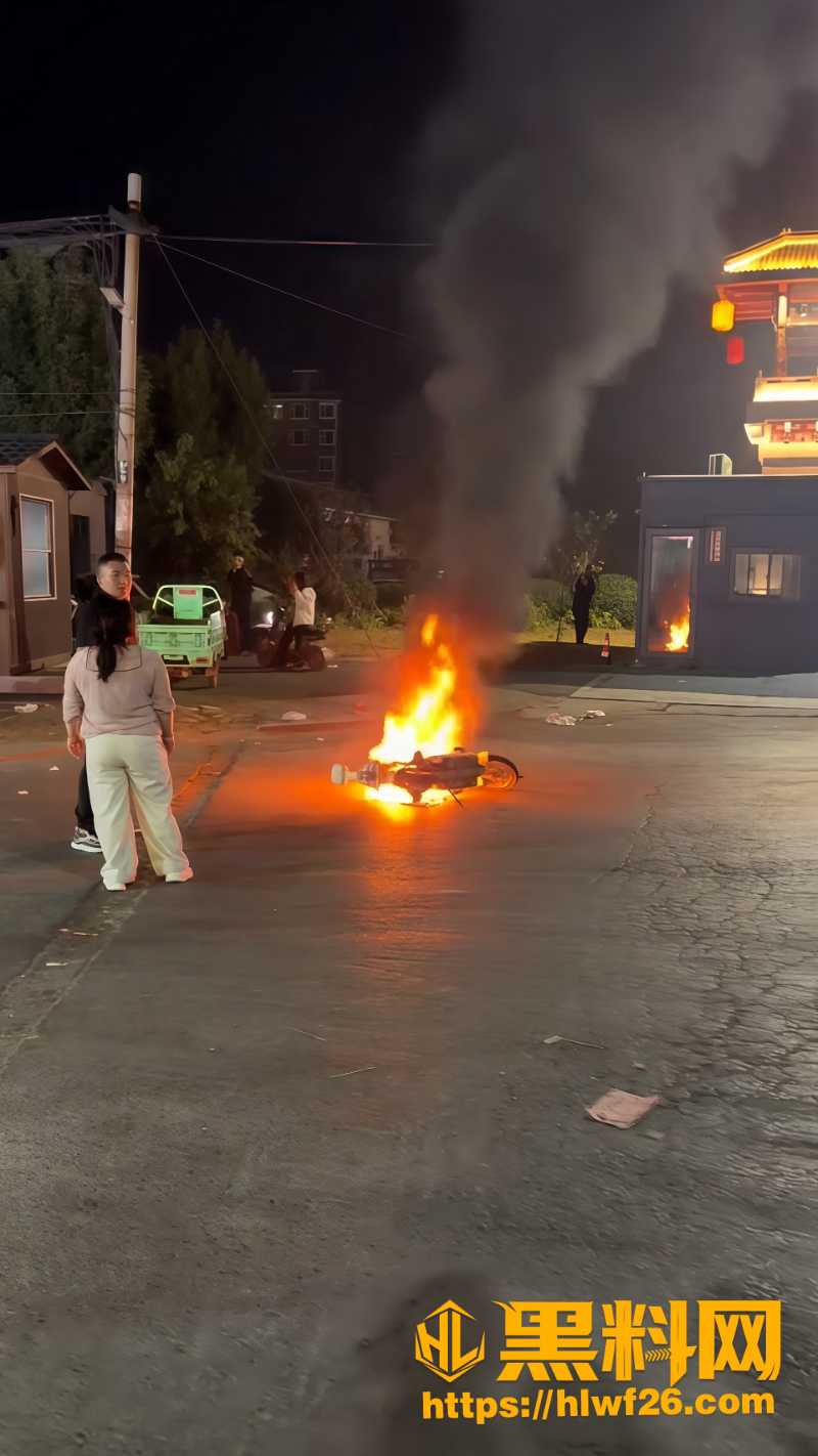火烧电动车6