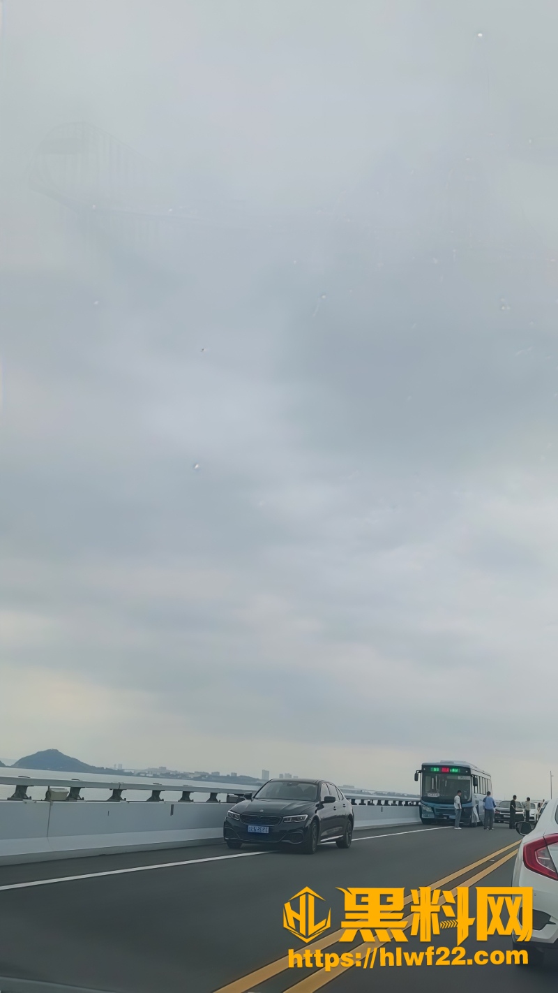 违规驾驶5