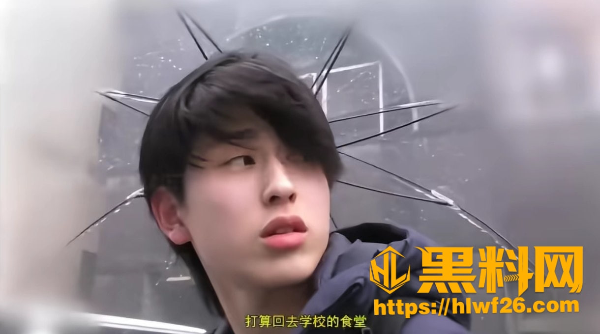 武生鸿翔出演男同色情片8