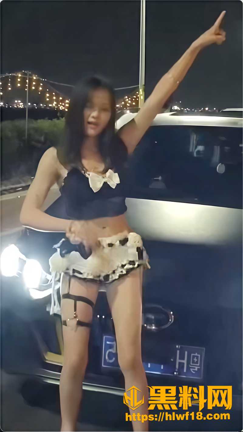 广东肇庆传祺车友会热舞现场2