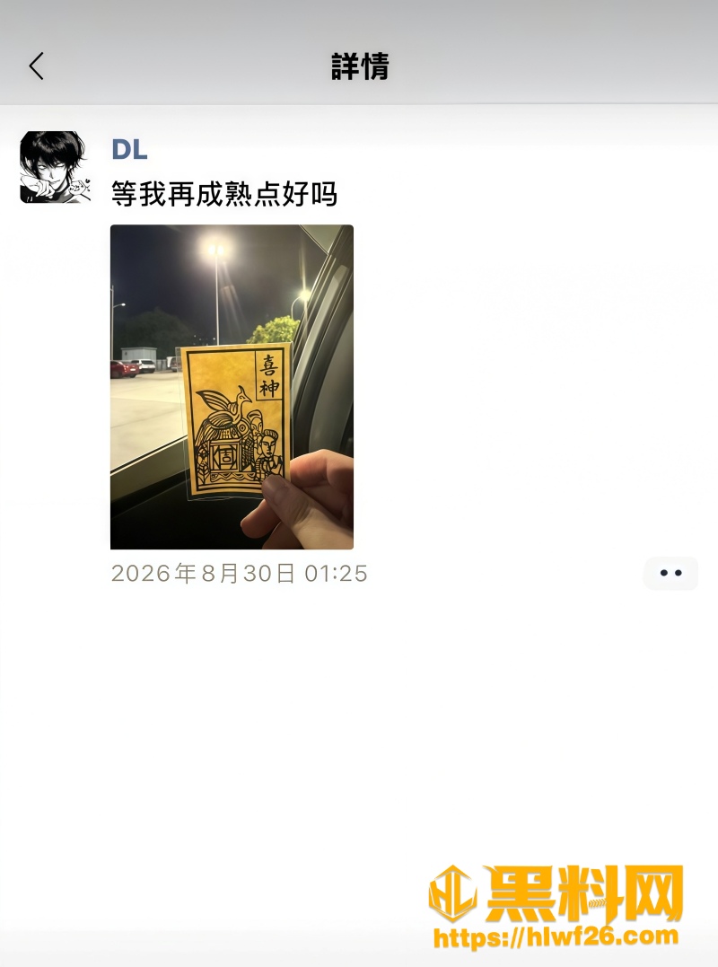 网红DL无缝衔接被曝光 6