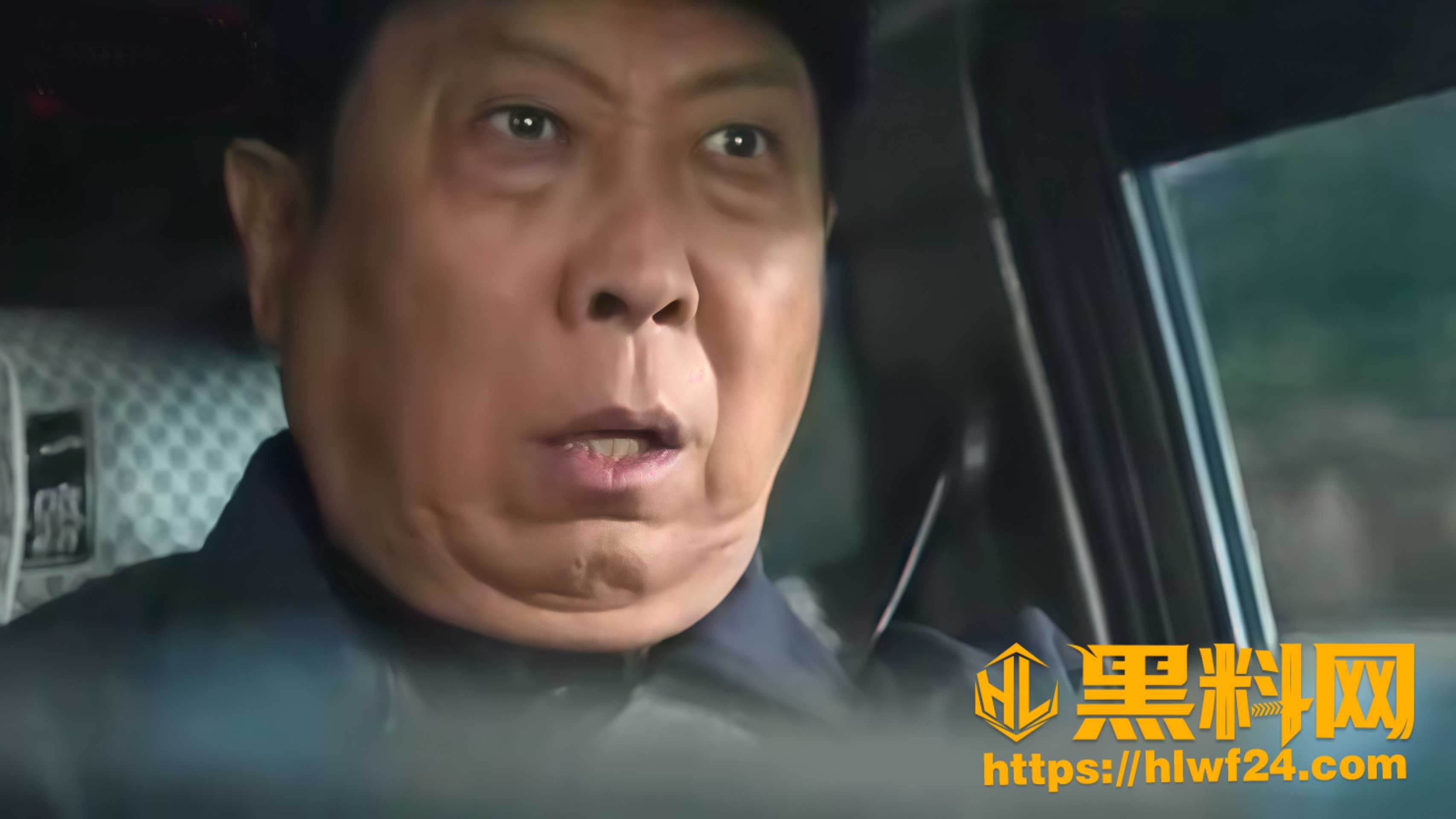 江淮汽车跌停2 9