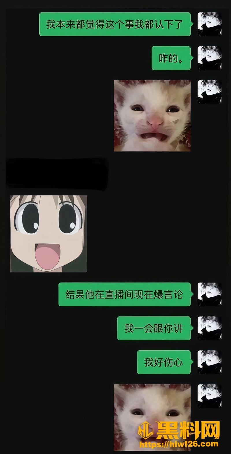 网红DL无缝衔接被曝光 4
