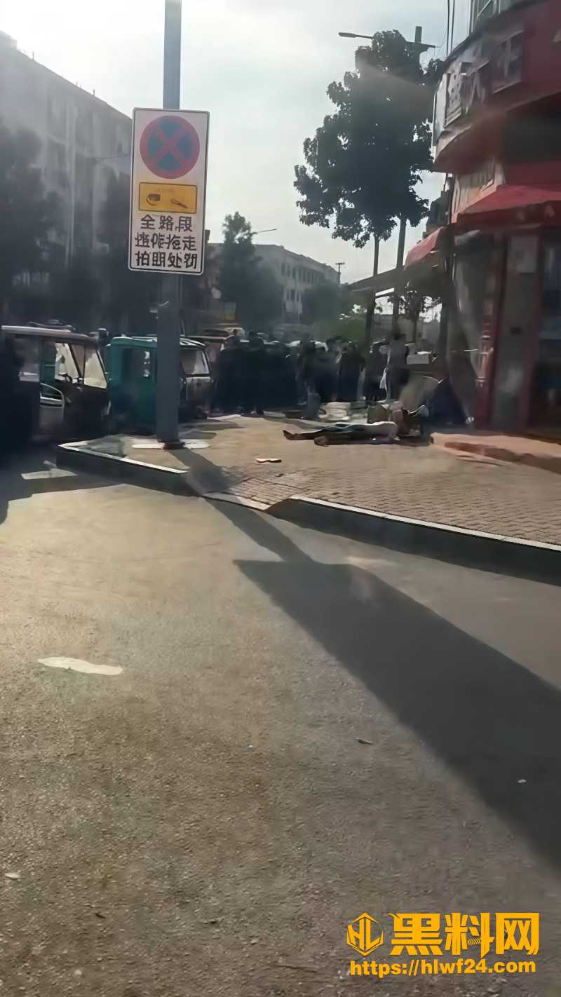 山东菏泽成武县当街杀人事件5